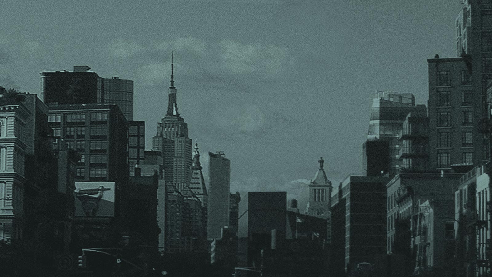 Zoo York Skateboards Inspired by New York City Street Culture