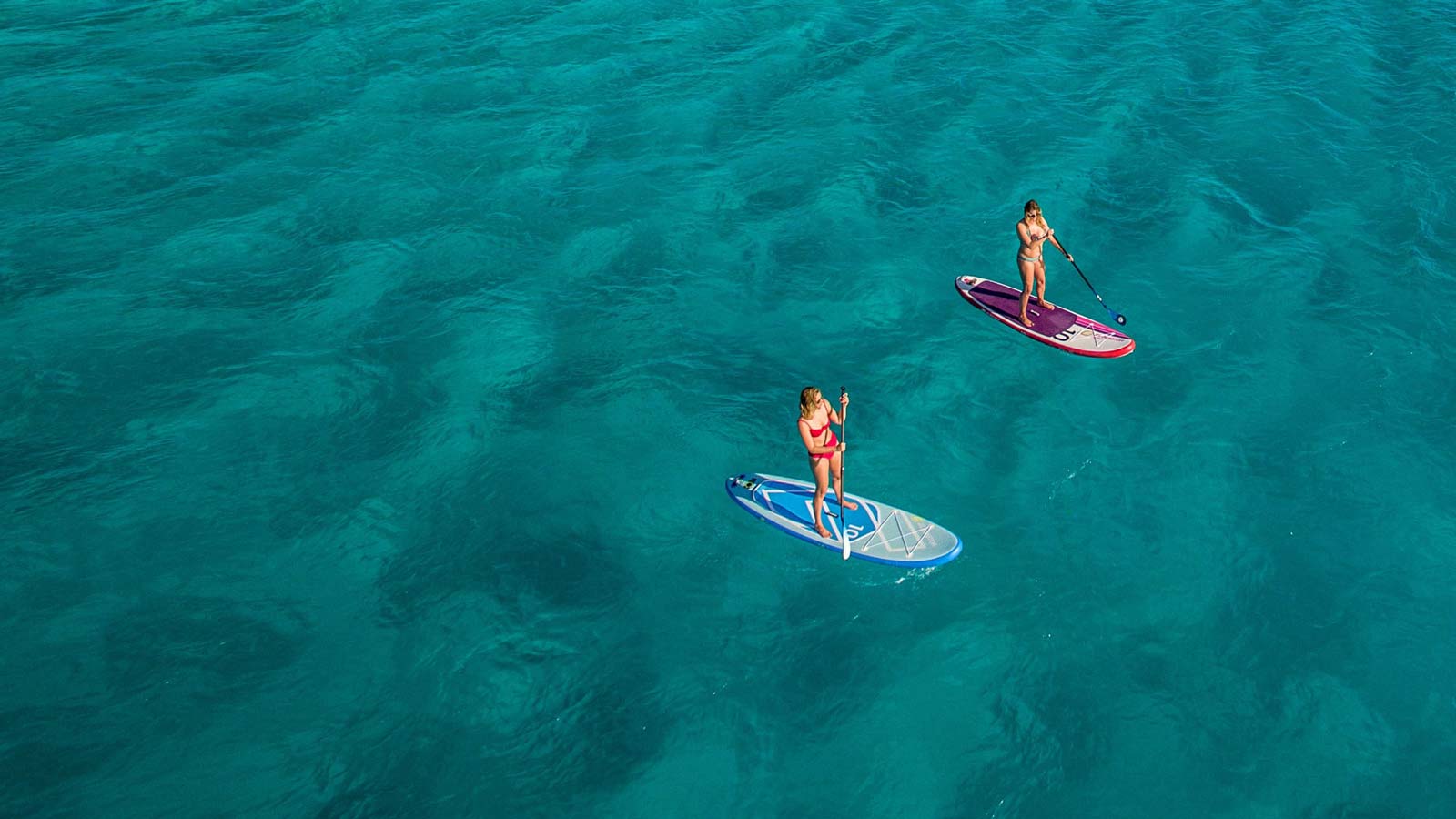 Gladiator Paddle Boards on Crystal Clear Water for Stand Up Paddle Adventures