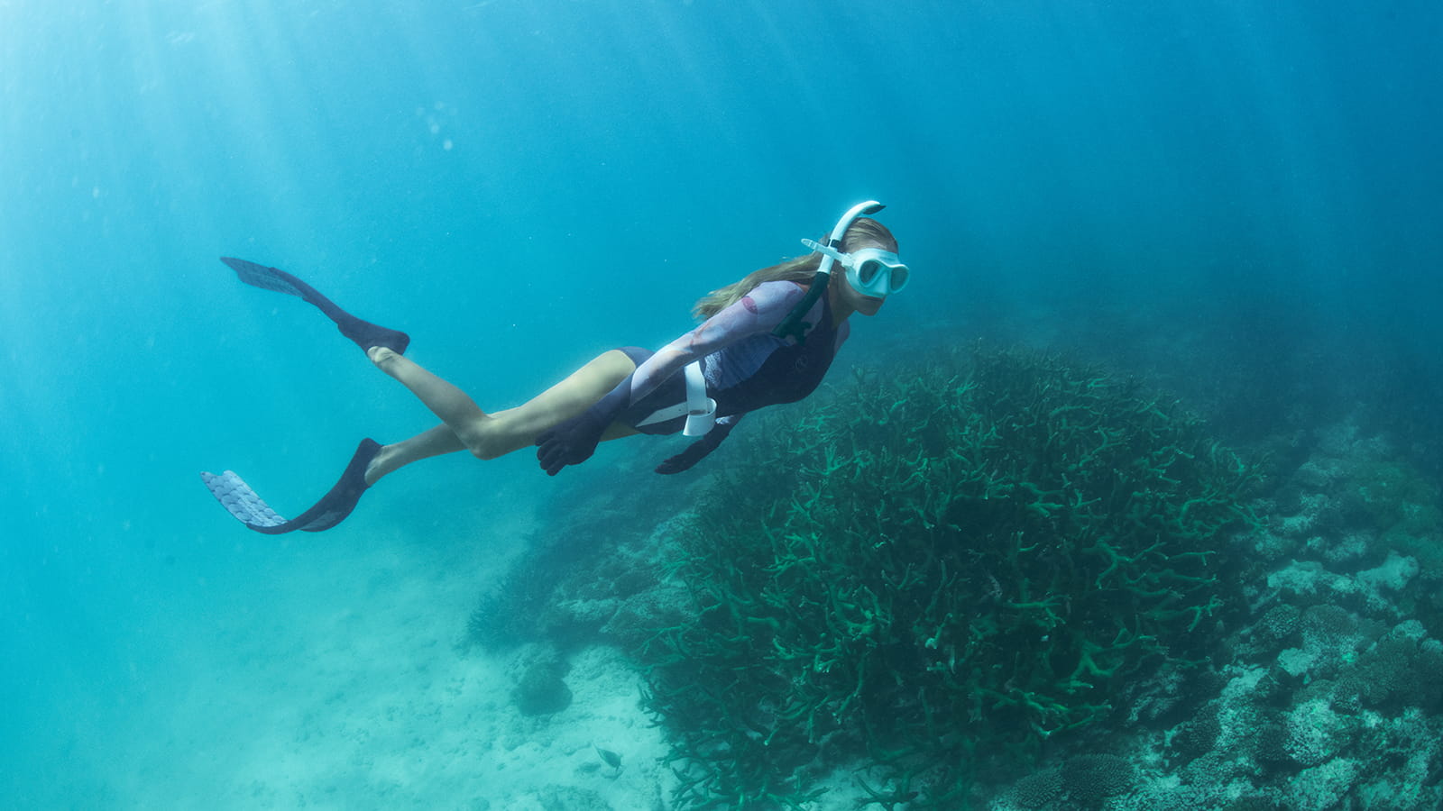 Girl diving in tropical waters.