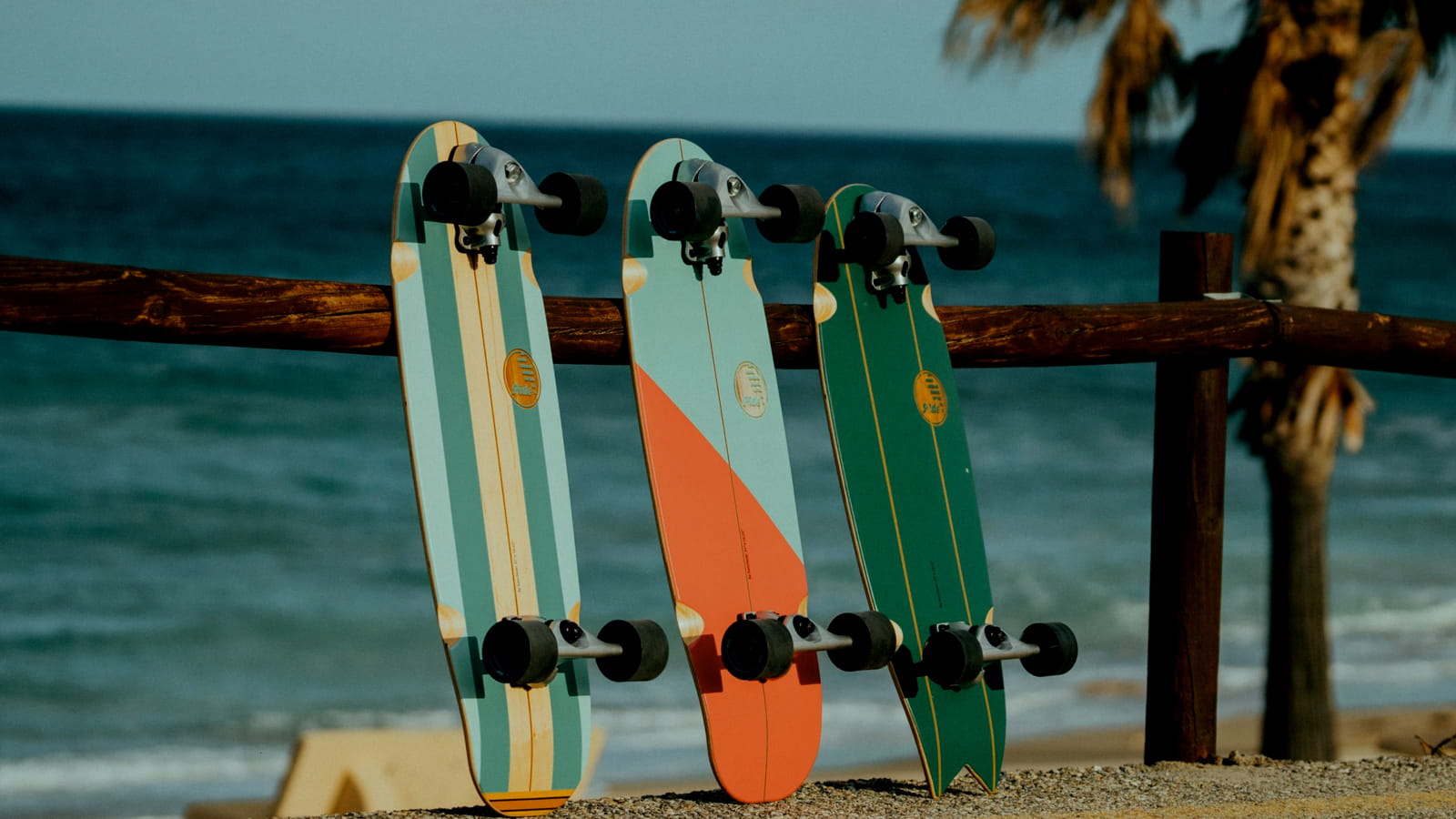 tree surfskate skatbeoards near the ocean front and beach.