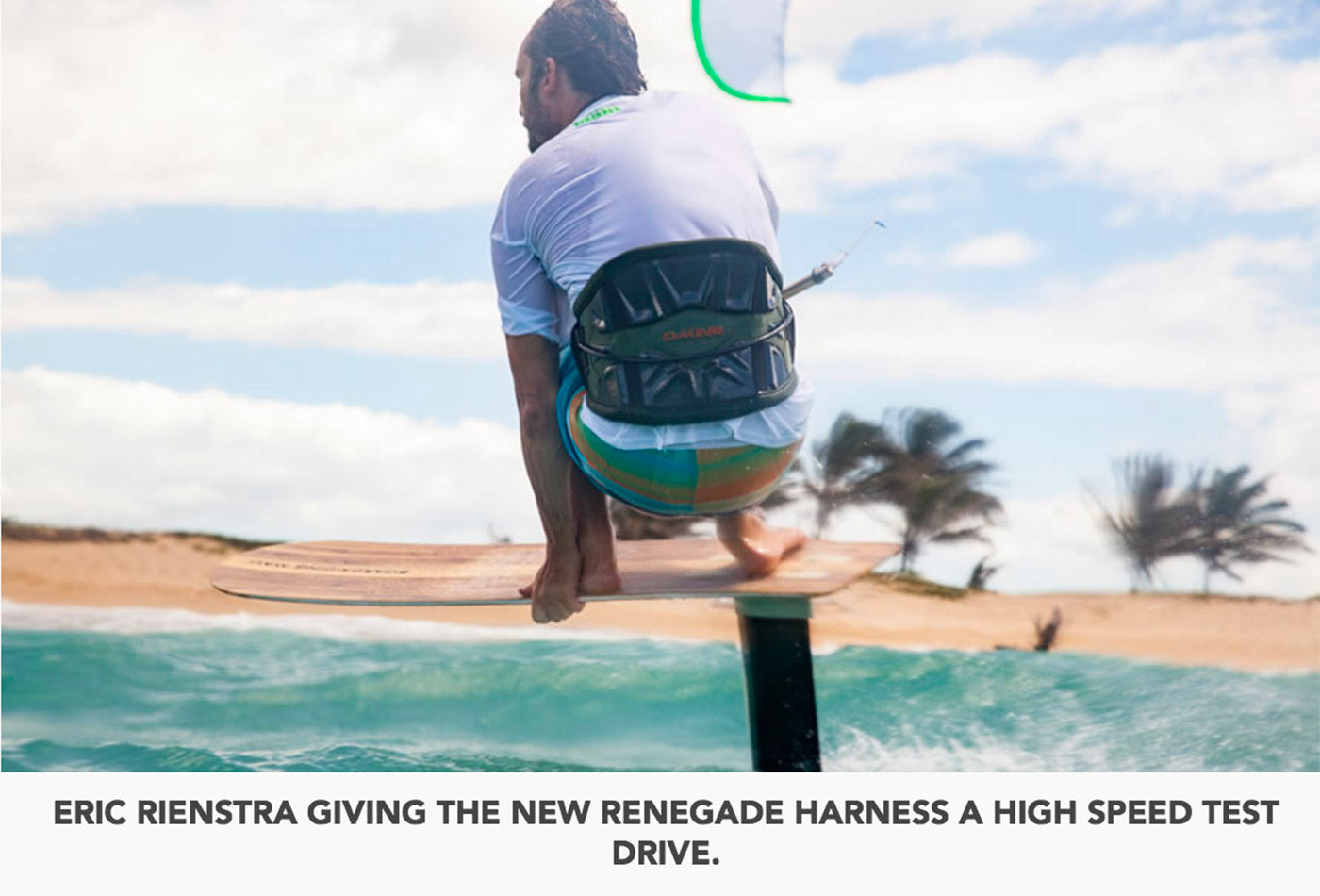 DaKine Renegade Kiteboard Waist Harness – Stencil Palm