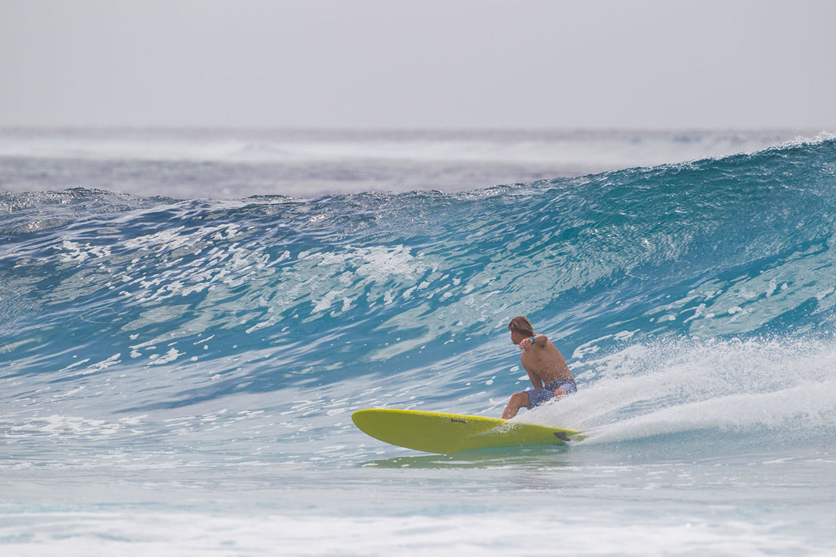 Torq Epoxy Mod Fun surfboard Classic Color 3 – 8'2 V+